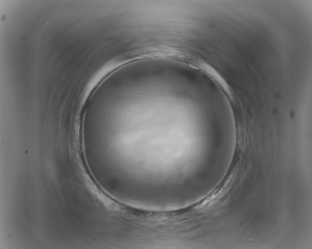 X0000064041099200601301142