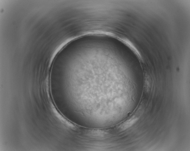 X0000064041100200601301142