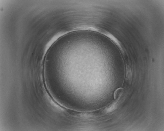 X0000064041102200601301142