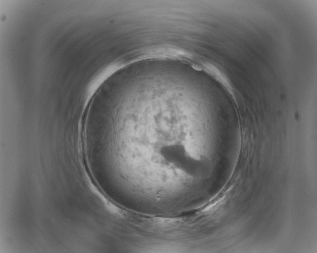 X0000064041103200601301142