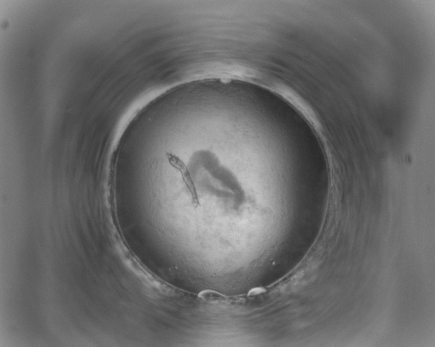 X0000064041104200601301142