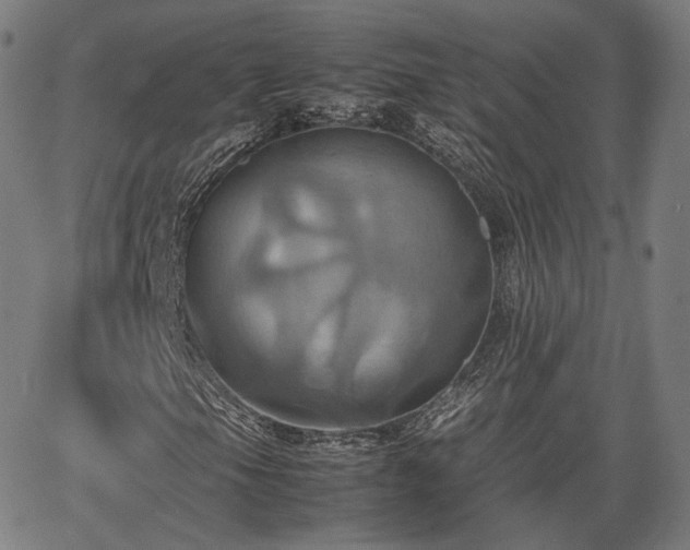 X0000064041105200601301141