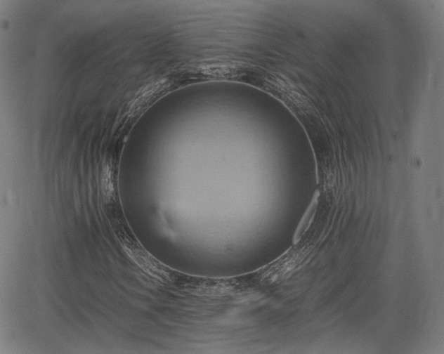 X0000064041106200601301141