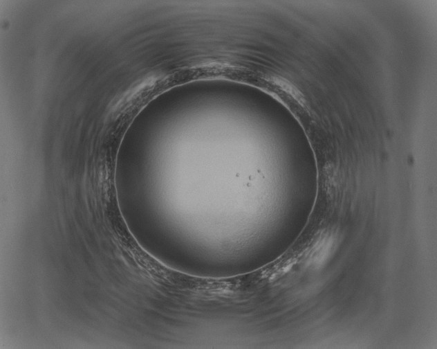 X0000064041111200601301141