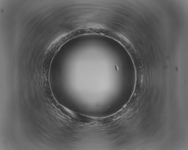 X0000064041112200601301141