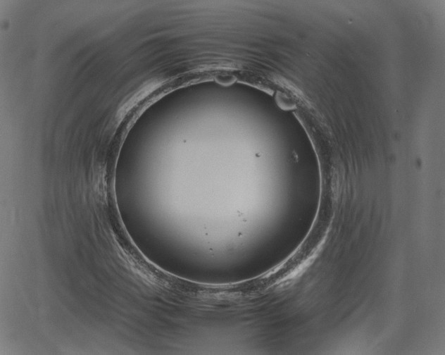 X0000064041113200601301141