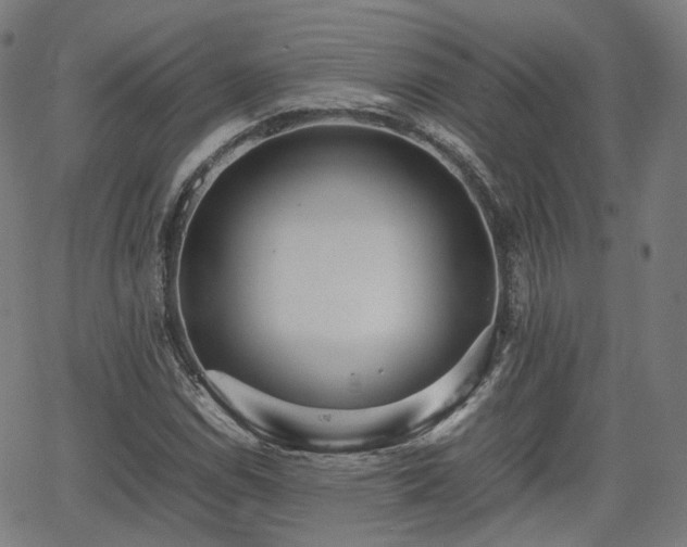 X0000064041114200601301141