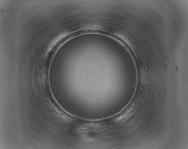 X0000064041115200601301141