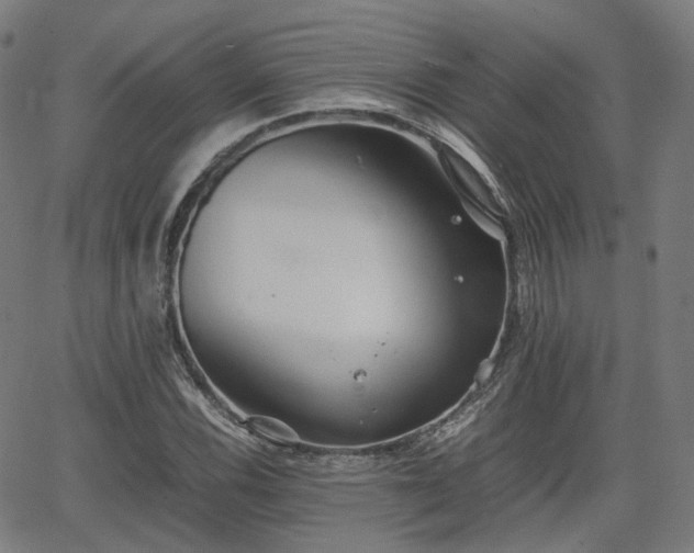 X0000064041116200601301141