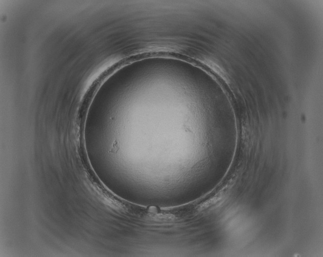 X0000064041119200601301142