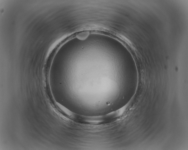 X0000064041120200601301142