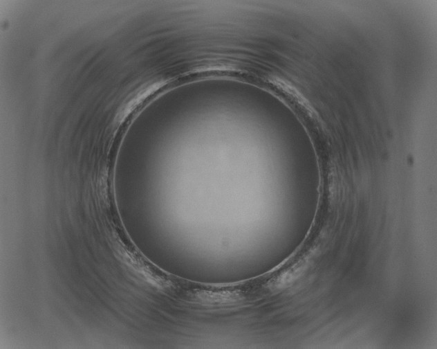 X0000064041121200601301142