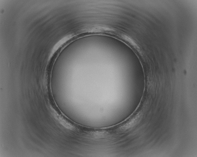 X0000064041122200601301142