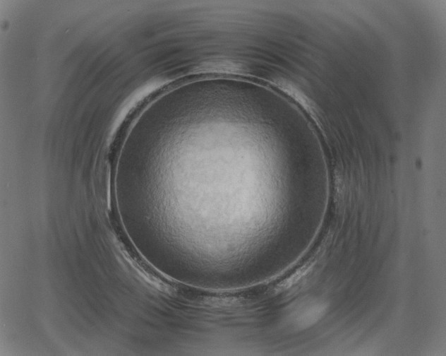 X0000064041123200601301142