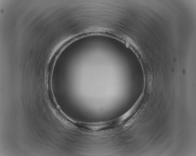 X0000064041124200601301142