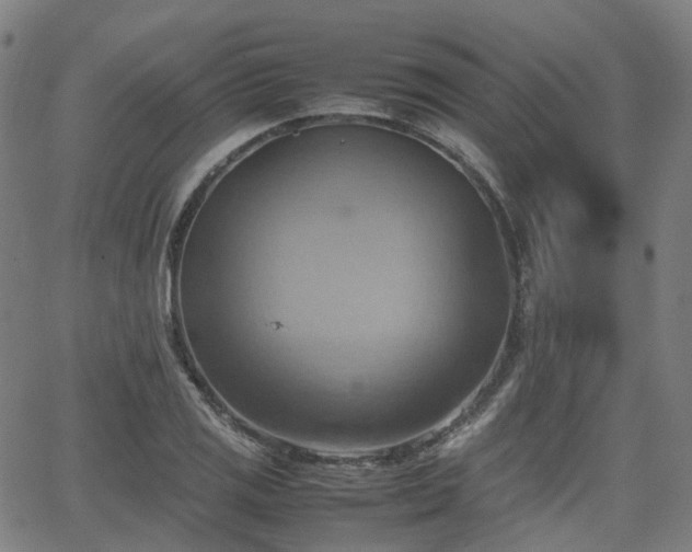 X0000064041125200601301142