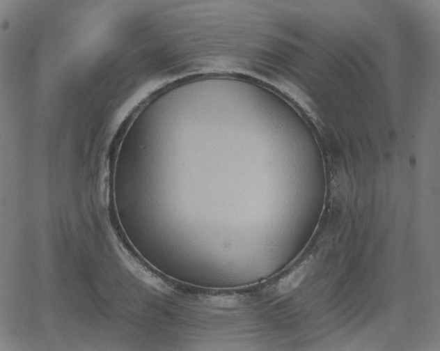 X0000064041126200601301142