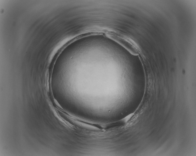 X0000064041128200601301142