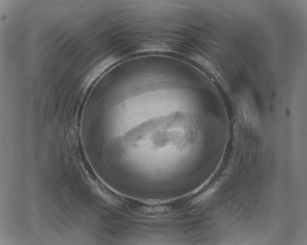 X0000064041129200601301142