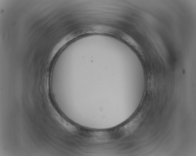 X0000064041130200601301142