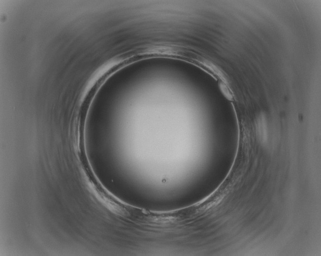 X0000064041131200601301142