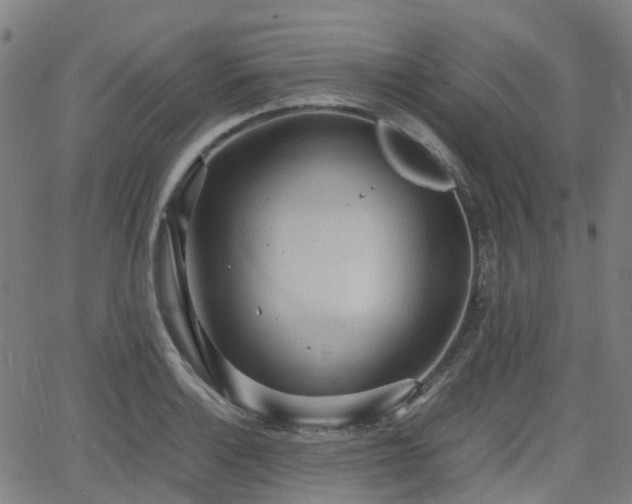 X0000064041132200601301142