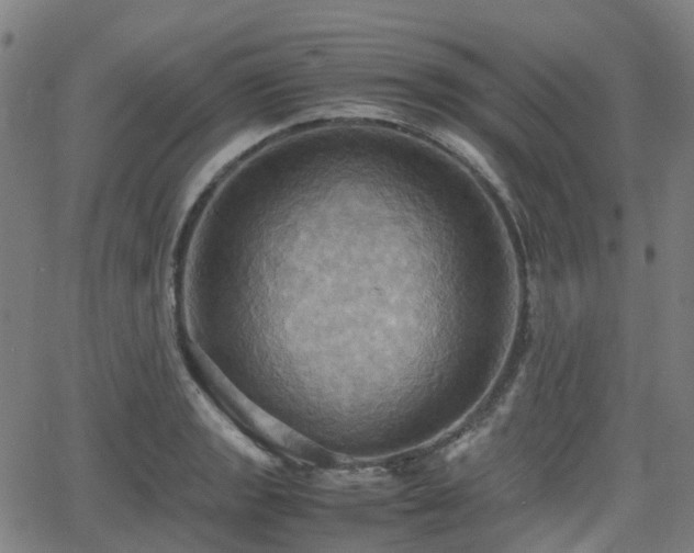 X0000064041133200601301142