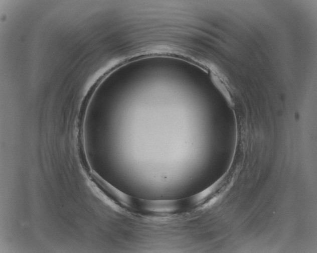 X0000064041134200601301142