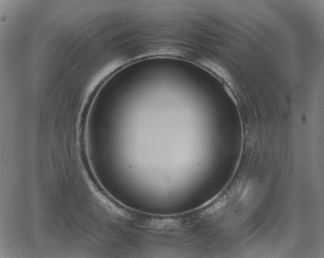 X0000064041135200601301142