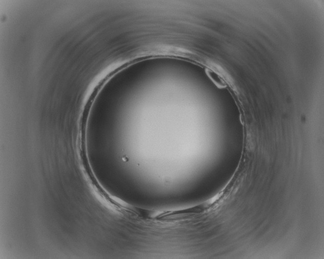 X0000064041136200601301142