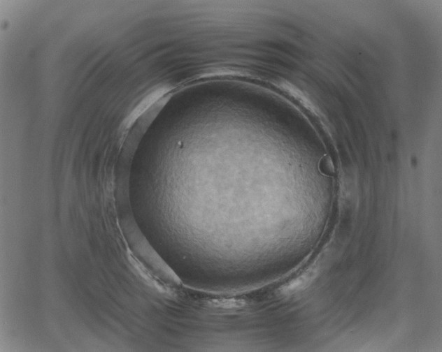 X0000064041137200601301142