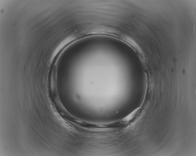 X0000064041138200601301142