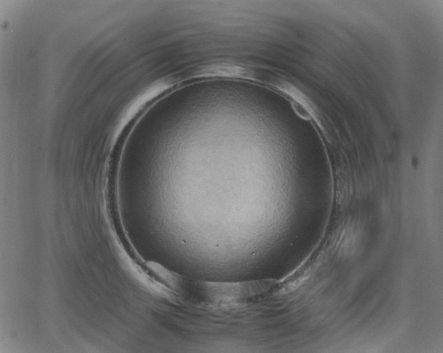 X0000064041139200601301142