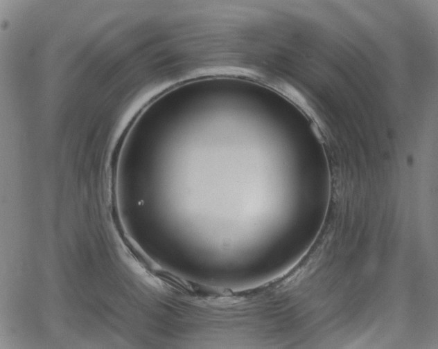 X0000064041140200601301142