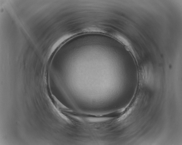 X0000064041141200601301142