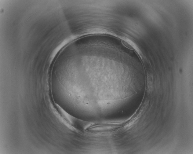 X0000064041142200601301142