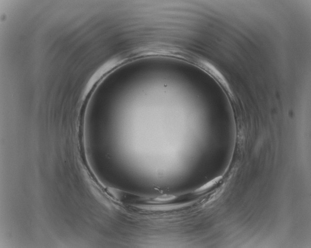 X0000064041146200601301142