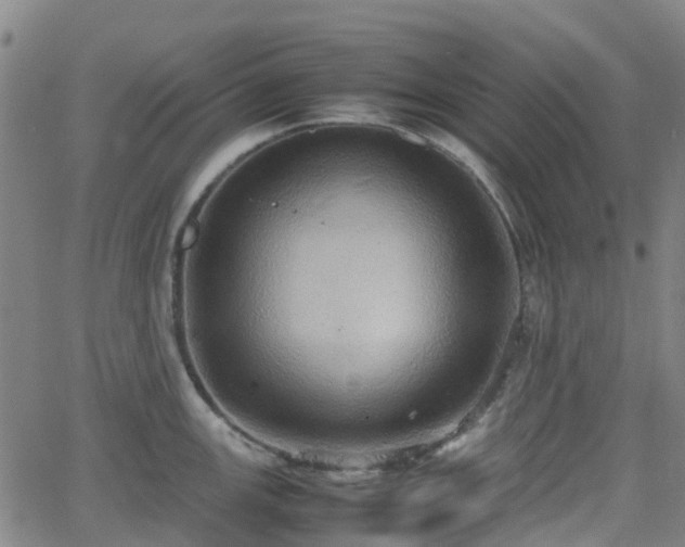 X0000064041147200601301142