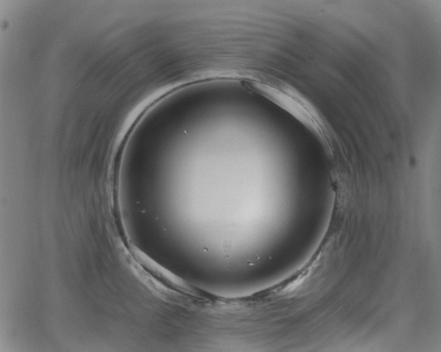 X0000064041148200601301142