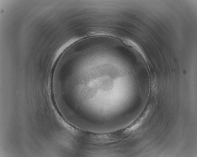 X0000064041149200601301142