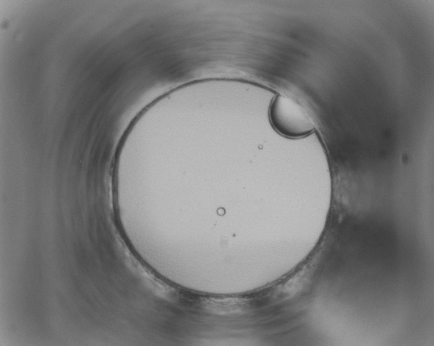 X0000064041150200601301142