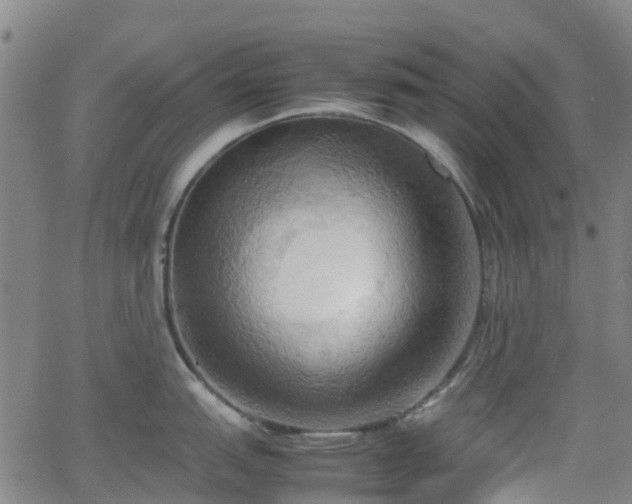 X0000064041151200601301142