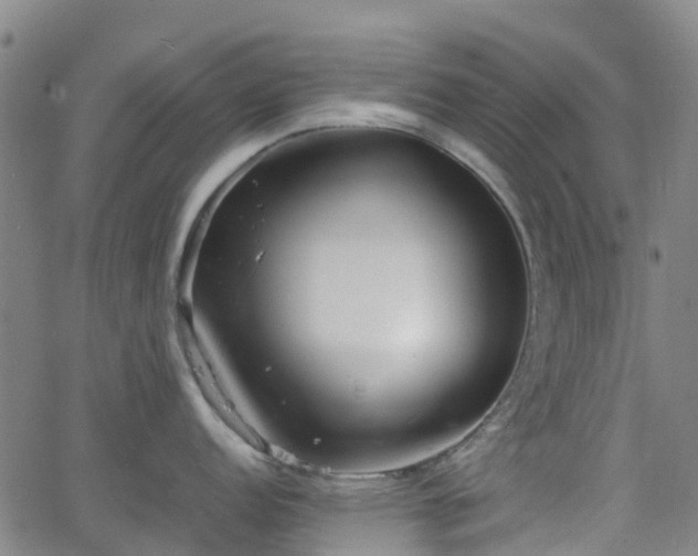 X0000064041152200601301142