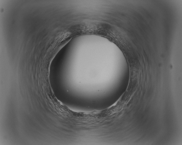 X0000064041153200601301141