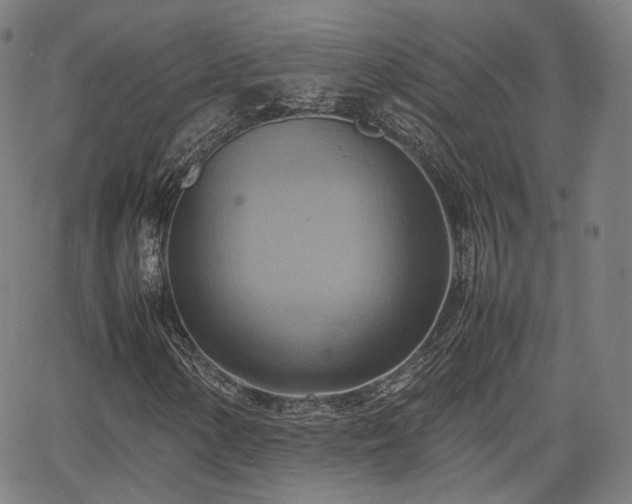 X0000064041154200601301141