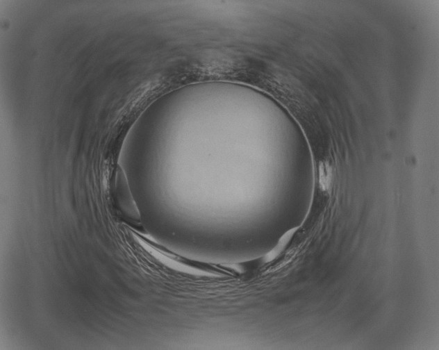 X0000064041155200601301141