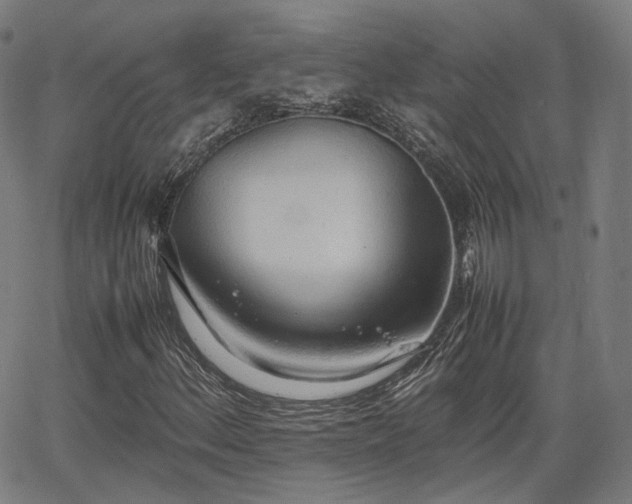 X0000064041156200601301141