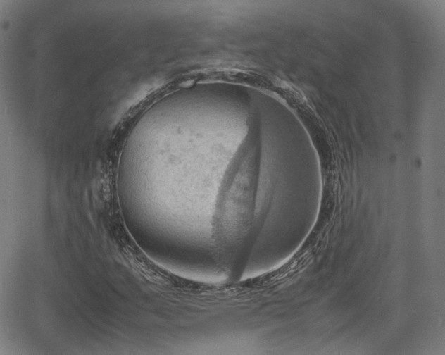 X0000064041159200601301141