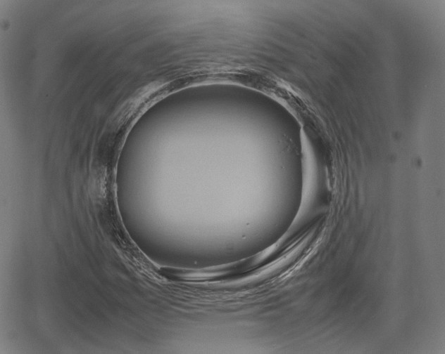 X0000064041161200601301141