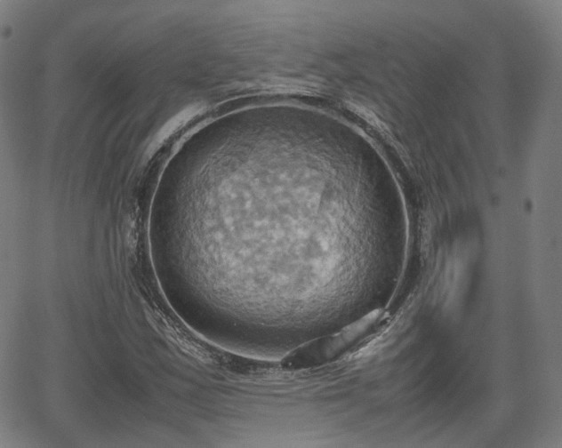 X0000064041163200601301141